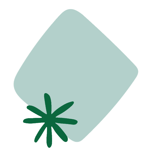 DN250453-Šola z navdihom_spletna stran 4